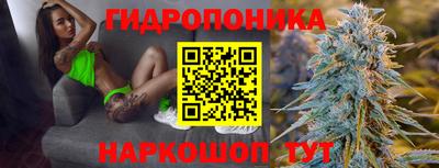 скорость Будённовск