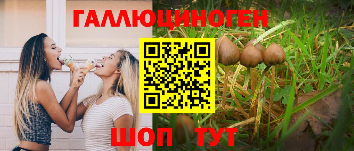 Псилоцибиновые грибы мицелий Рубцовск