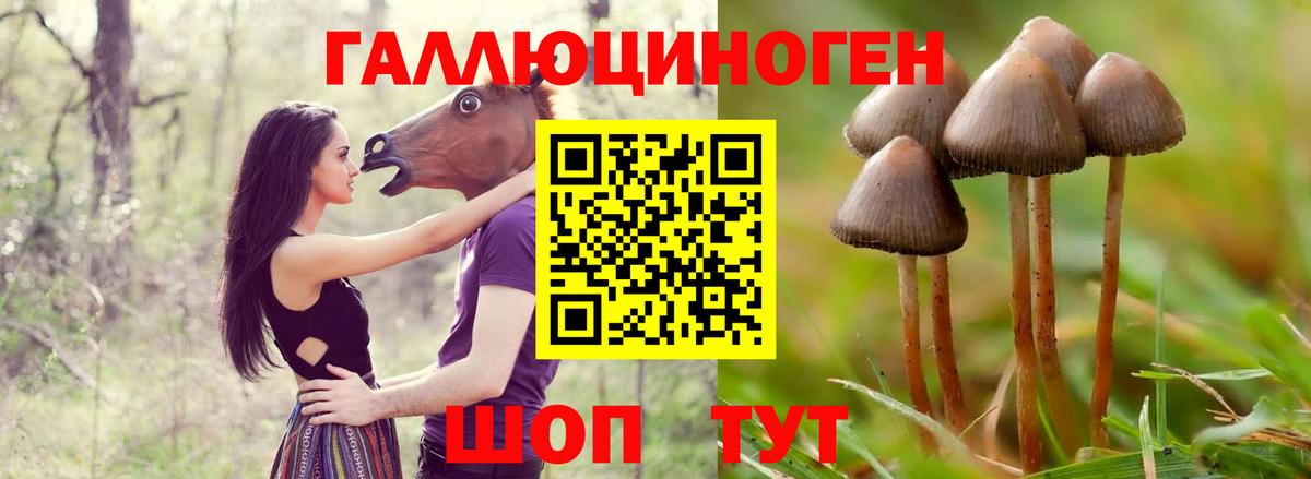 Псилоцибиновые грибы Magic Shrooms  Вход с VPN  купить  сайты  Рубцовск 